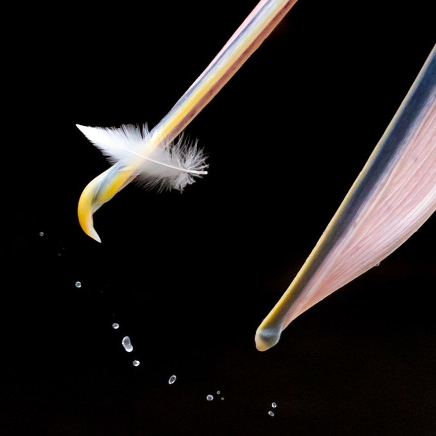 İşte özgürlüğün fotoğrafı! 18