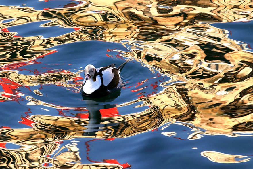 İşte özgürlüğün fotoğrafı! 20