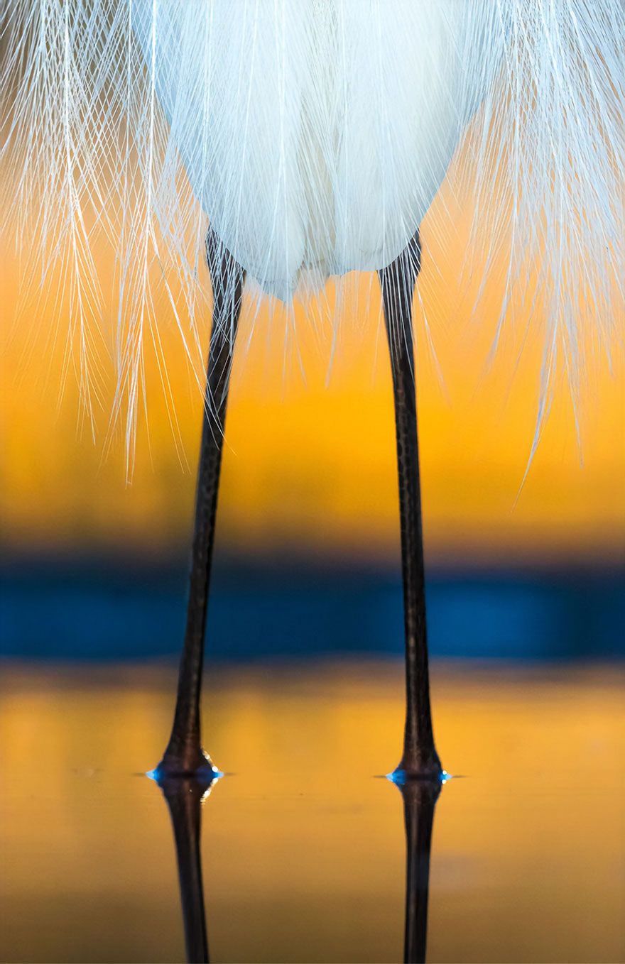 İşte özgürlüğün fotoğrafı! 3