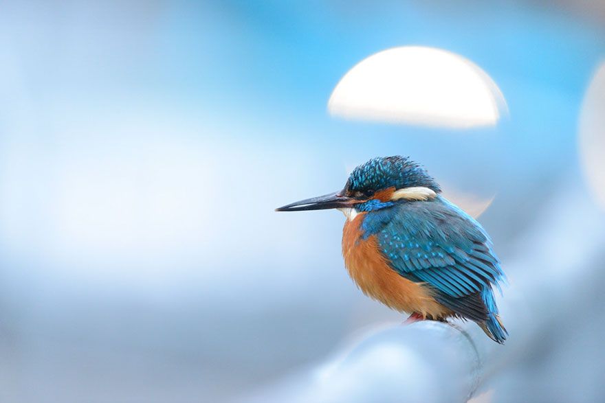 İşte özgürlüğün fotoğrafı! 6