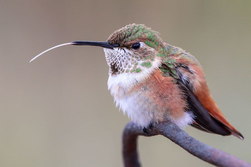 İşte özgürlüğün fotoğrafı! 7