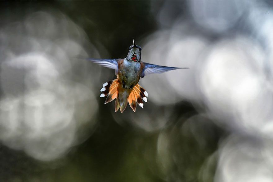 İşte özgürlüğün fotoğrafı! 9