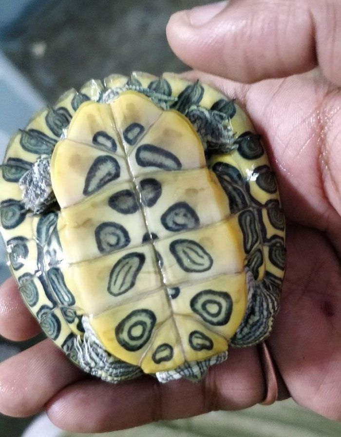 Hayatta bir defa denk gelecek anlar! 13