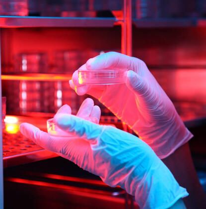 Korkunç gerçek DNA testinde ortaya çıktı! 5
