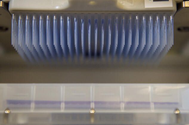 Korkunç gerçek DNA testinde ortaya çıktı! 9