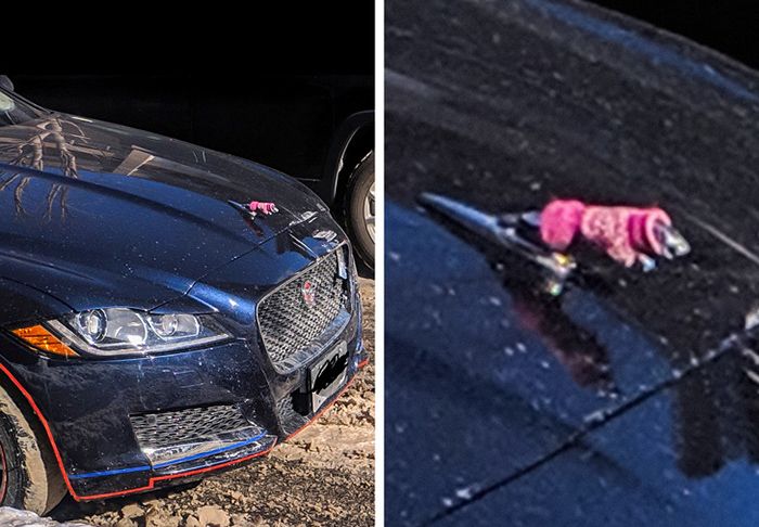 Dikkatli bakıldığına değişen fotoğraflar! 8