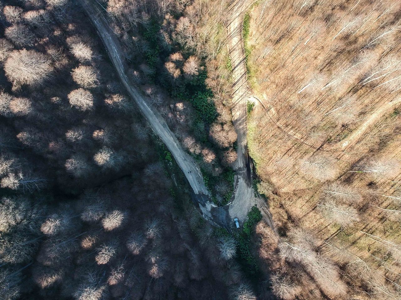 Ağaçlarda yaprak kalmadı... 8