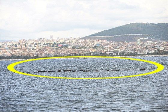İstanbul’un su altına gömülen adası! 11