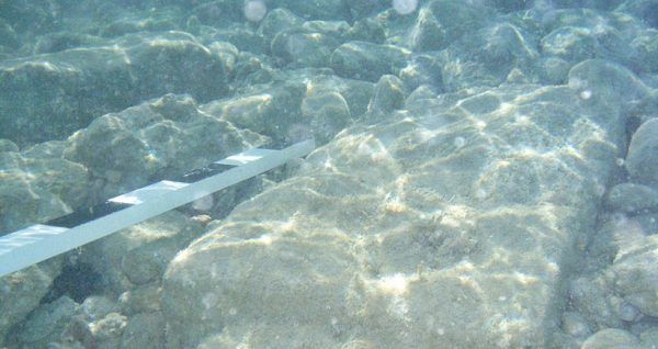 İstanbul’un su altına gömülen adası! 6