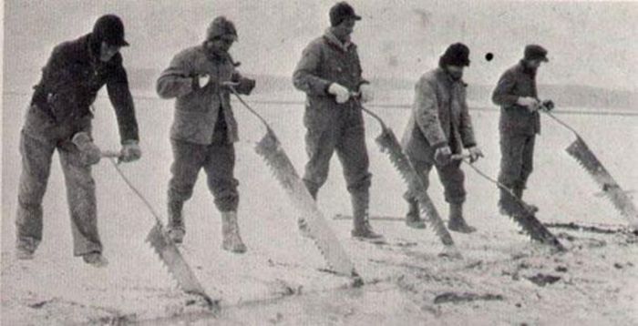 Ceset hırsızlığı yaparken seri katil oldular! 16