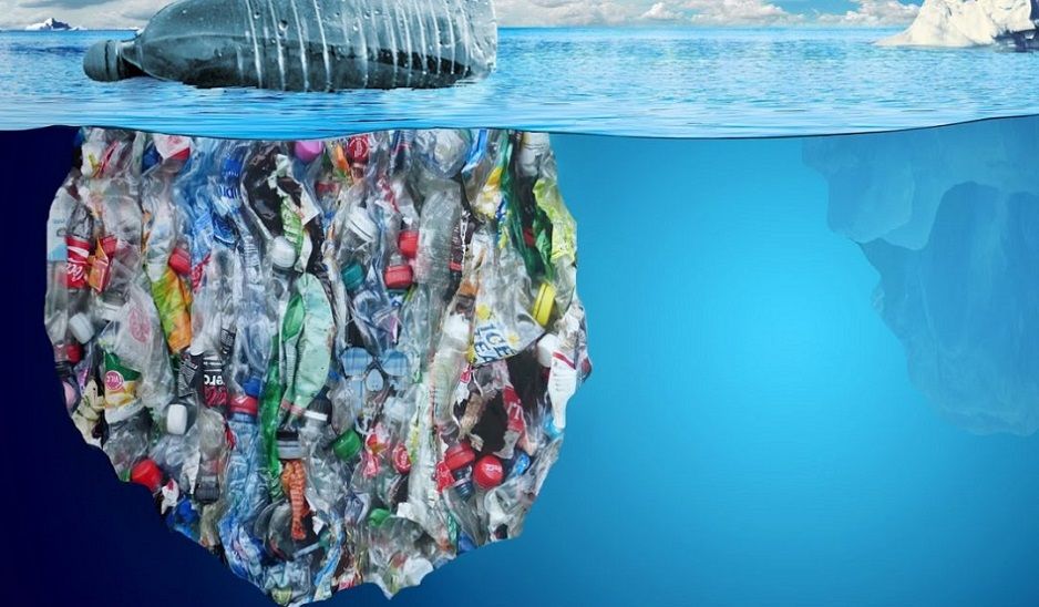 Kaplumbağanın midesinden 104 parça plastik çıktı! 1