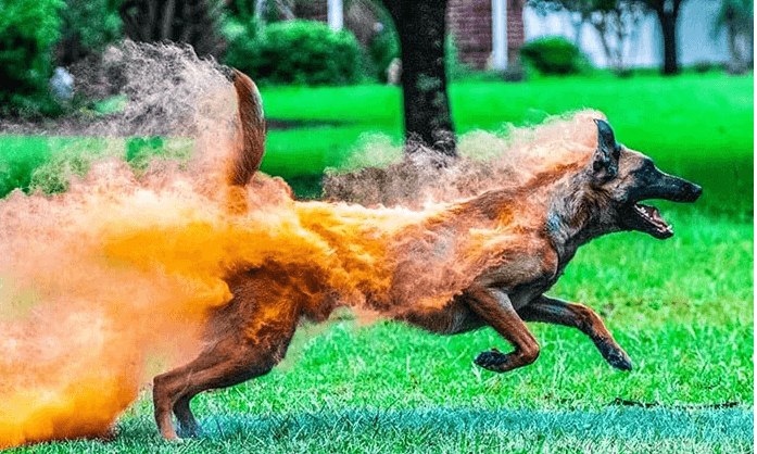 Bu fotoğrafların photoshopsuz olduğuna inanamayacaksınız! 2