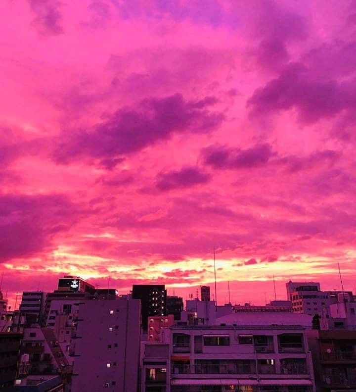 Japonya'yı önce deprem, sonra Hagibis vurdu... 14