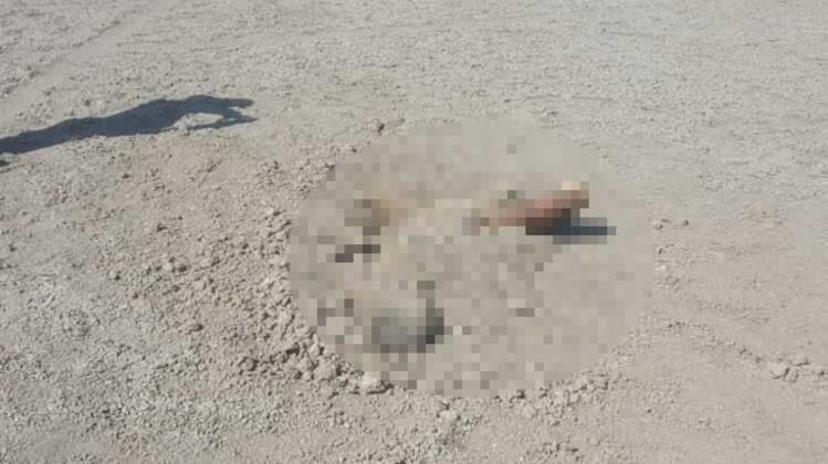 5 aylık cesedin ölüm nedeni ortaya çıktı! 3