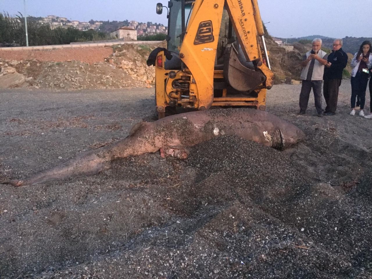 İzmir'de şaşırtan görüntü 2