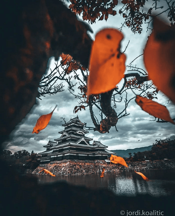 Küçük numaralarla çekilmiş harika fotoğraflar 45
