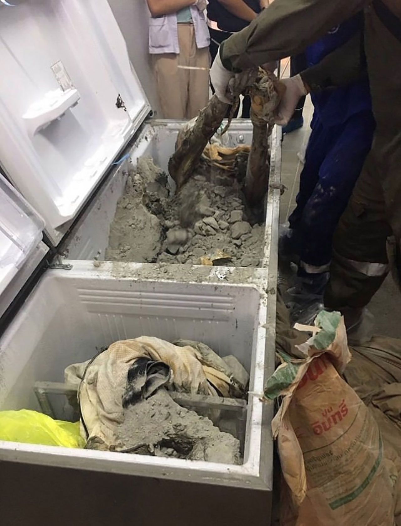 İş kadınının cesedi buzdolabından çıktı! 3