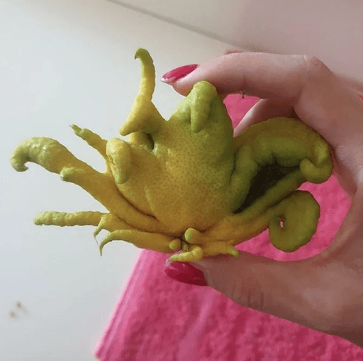 Garipliklerle dolu birbirinden ilginç fotoğraflar! 14