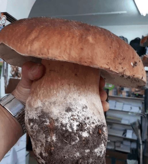 Garipliklerle dolu birbirinden ilginç fotoğraflar! 6