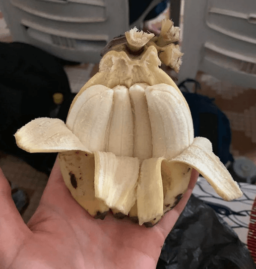 Garipliklerle dolu birbirinden ilginç fotoğraflar! 8