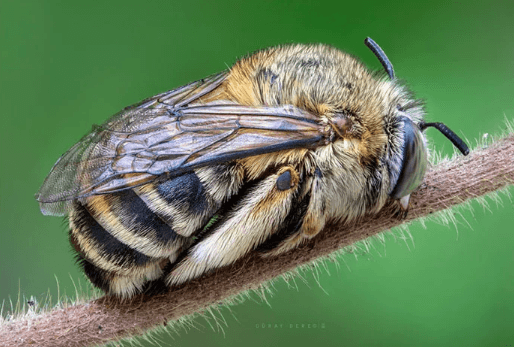 Garipliklerle dolu birbirinden ilginç fotoğraflar! 22
