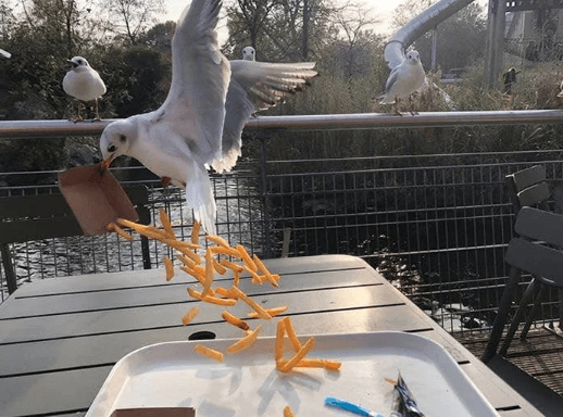 Hayatın sillesini yiyen birbirinden şanssız insanlar! 21