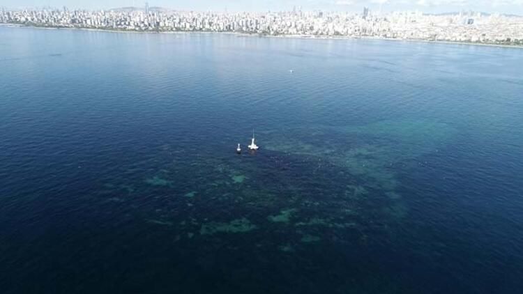 İstanbul'un batık adası havadan görüntülendi! 13