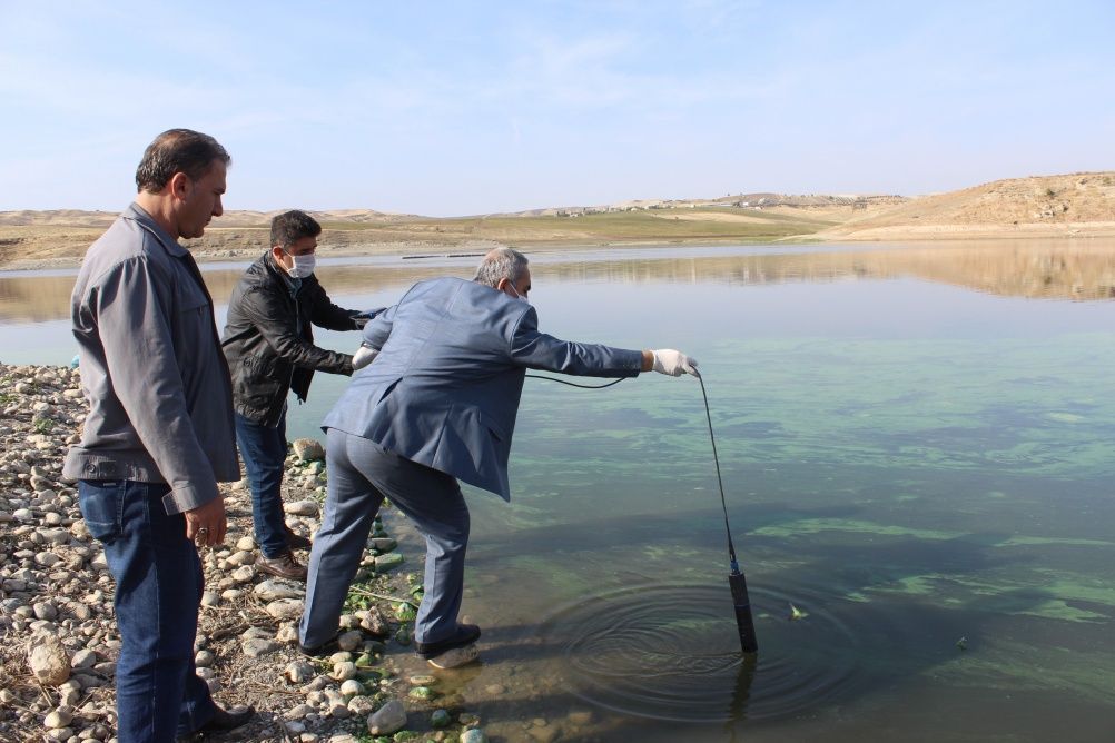 Korkutan görüntü! Atatürk Barajı yeşile büründü... 2