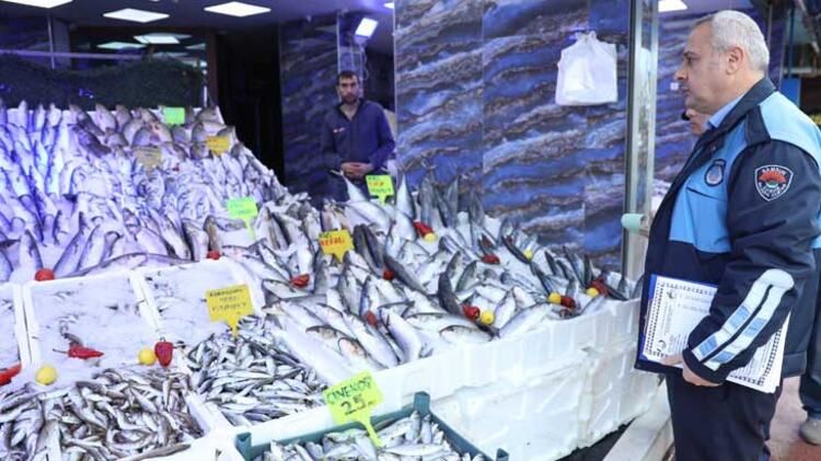 Balıkçıların mavi ışığının sırrı ortaya çıktı! 5