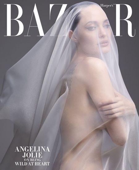 Angelina Jolie eski kocasına inat çıplak poz verdi 20