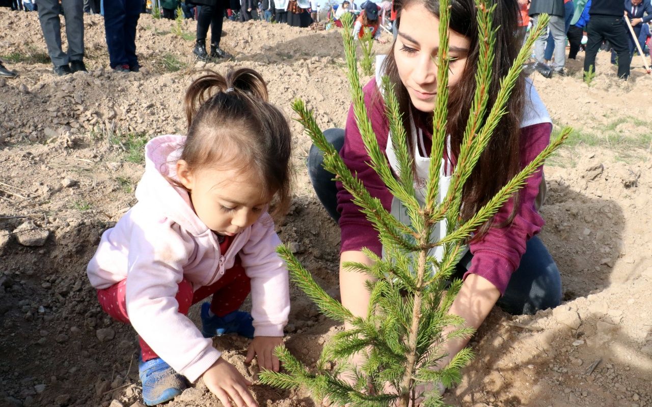 Türkiye ormanlarına 'can suyu' 21