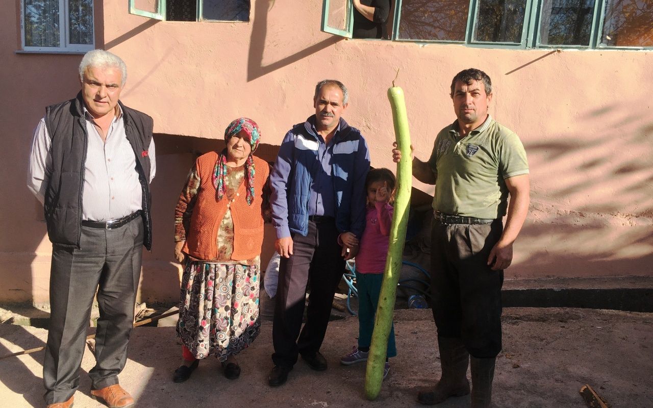 Bartın'da köylüyü şaşırtan kabak boyu! 2