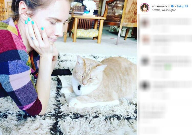 Biri eşinin cinsel organını kesti, diğeri ise... 22
