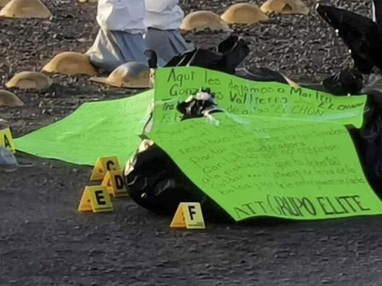 Vahşet! Öldürdüler, parçaladılar, sonra da poşetlerle otoyola attılar... 14