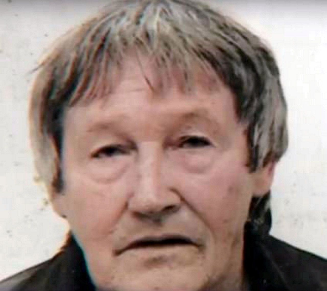 Pedofili sandığı yaşlı adamları çekiçle katletti! 5