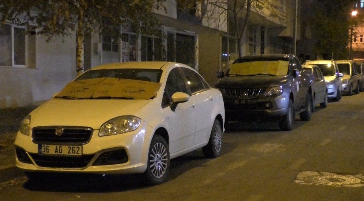 Kars'ta araçlara halılı ve battaniyeli koruma... 6