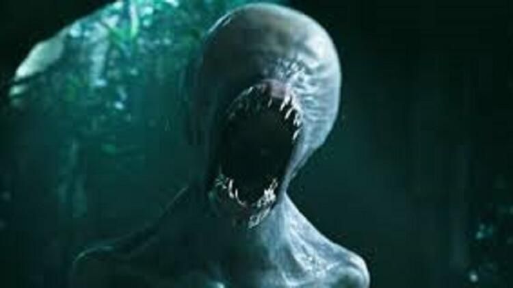 Van'da UFO heyecanı yaratmıştı! Ne olduğu ortaya çıktı... 10