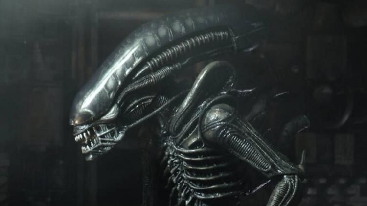 Van'da UFO heyecanı yaratmıştı! Ne olduğu ortaya çıktı... 9