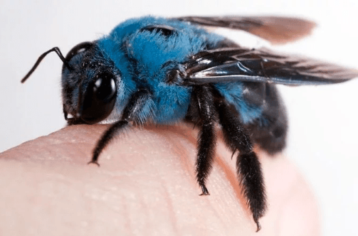 İlk kez göreceğiniz birbirinden ilginç fotoğraflar 7