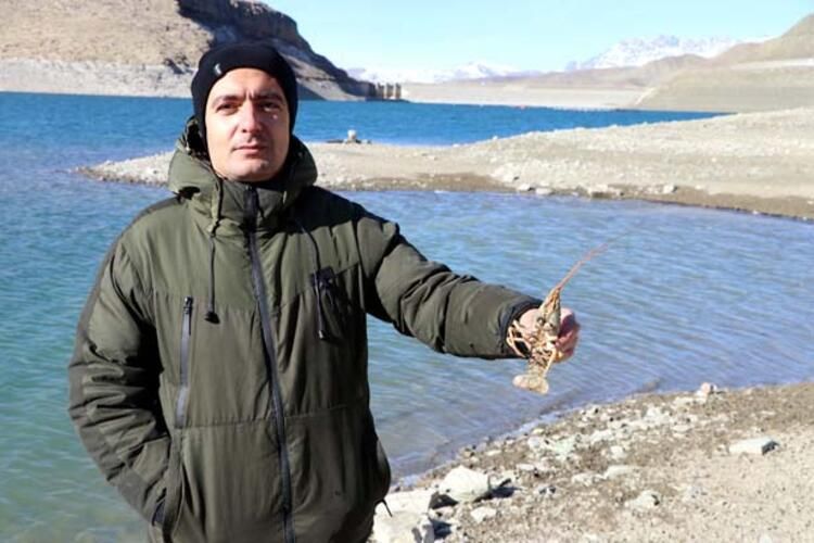 Van Gölü'nde büyük tehlike! Nereden geldiği bilinmiyor... 4