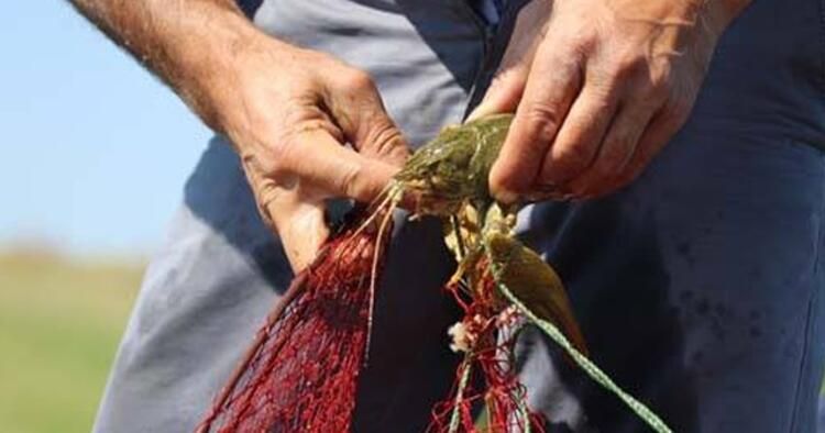 Van Gölü'nde büyük tehlike! Nereden geldiği bilinmiyor... 9