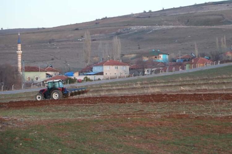 Tarlada bulduğu taşı banka kasasına koydu! 3