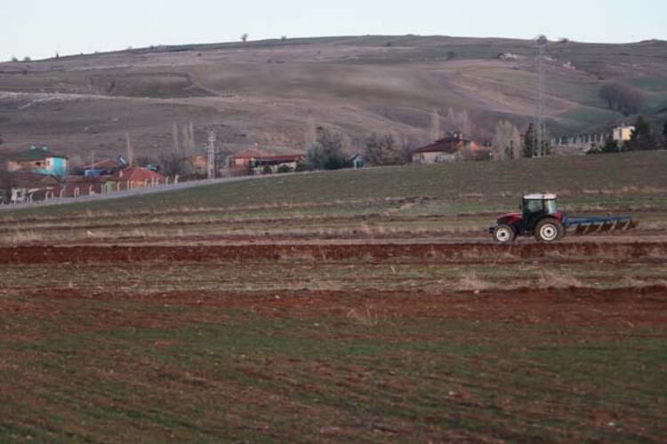 Tarlada bulduğu taşı banka kasasına koydu! 7