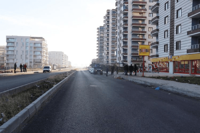 Görenler dehşete düştü! Köpekler yüzünü parçaladı! 1