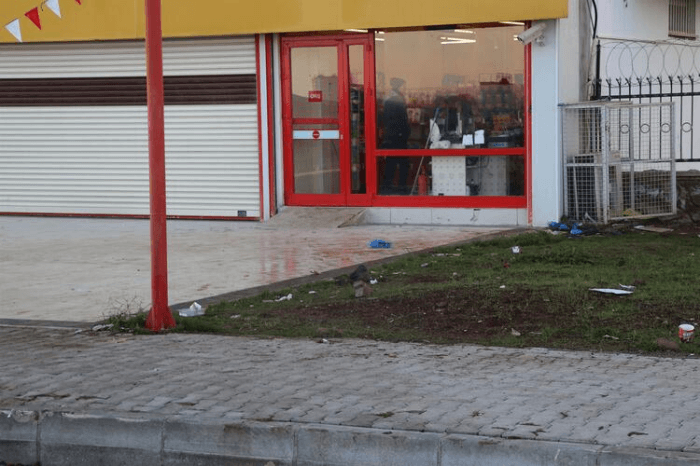 Görenler dehşete düştü! Köpekler yüzünü parçaladı! 4