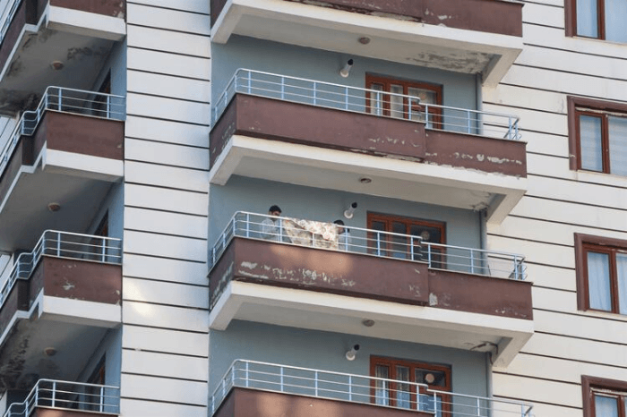 Görenler dehşete düştü! Köpekler yüzünü parçaladı! 2