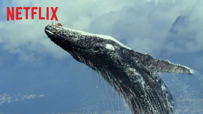 Netflix'in en sevilen 10 belgeseli... 1