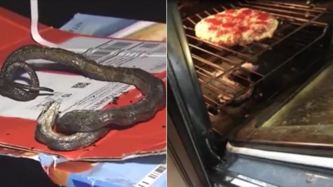 Pizza diye yılan pişirdiler! 6