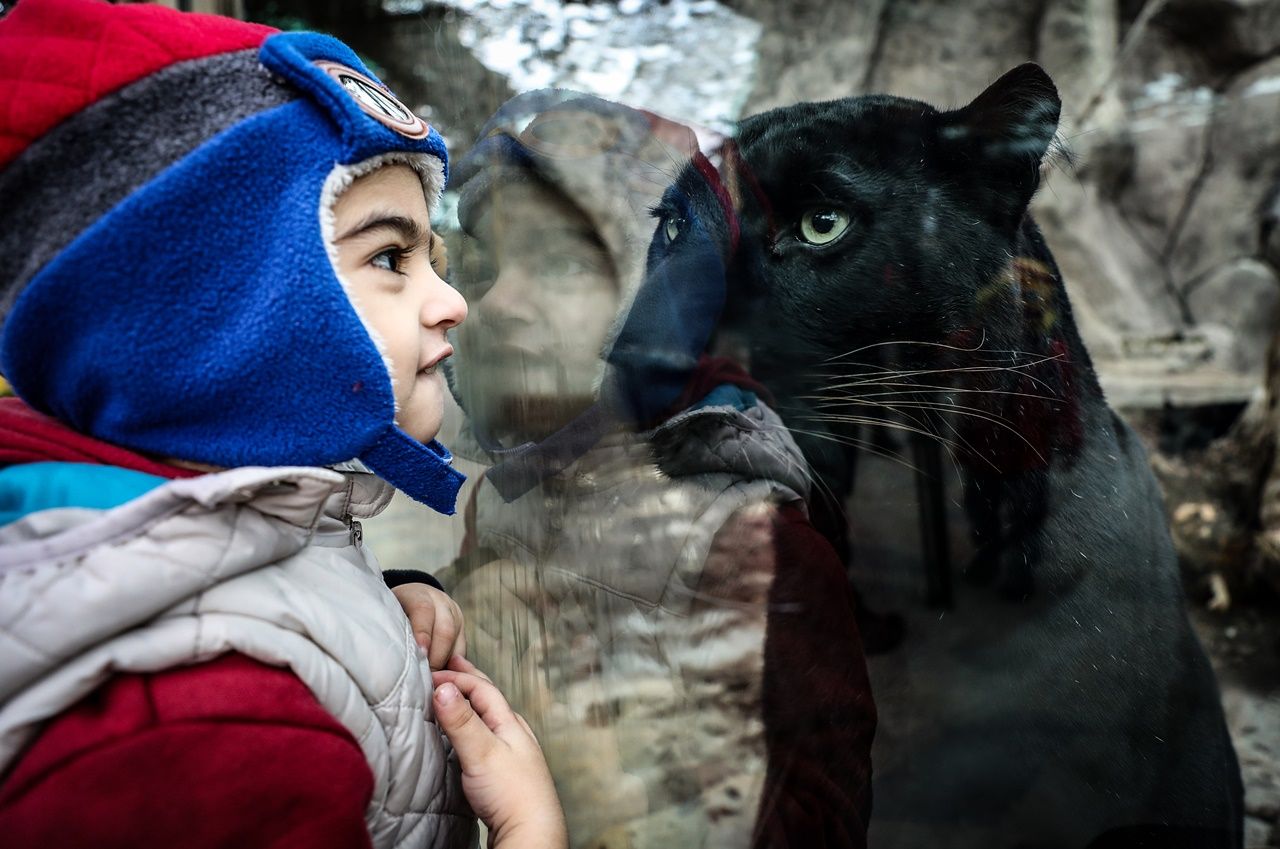 Aslan Park ziyaretçilerini bekliyor... 5