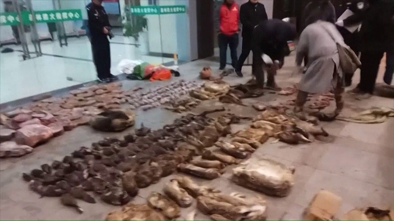 Ölümcül salgın buradan yayıldı 23